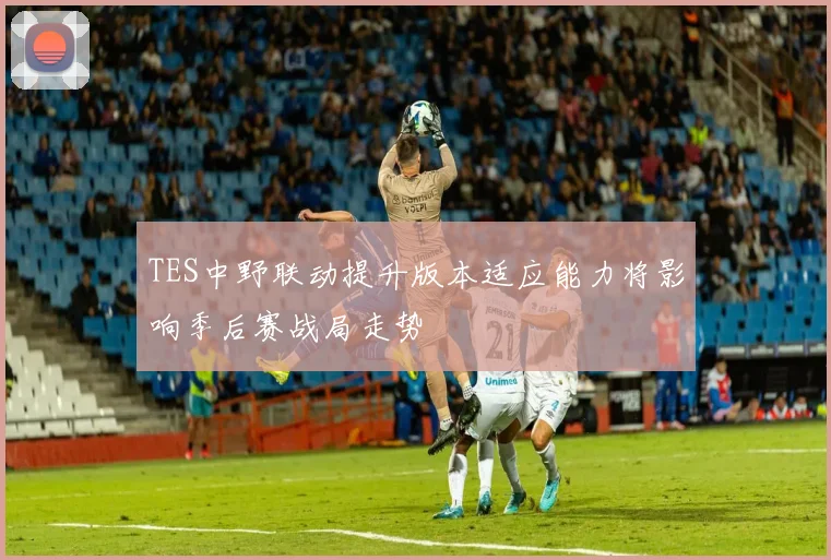 TES中野联动提升版本适应能力将影响季后赛战局走势